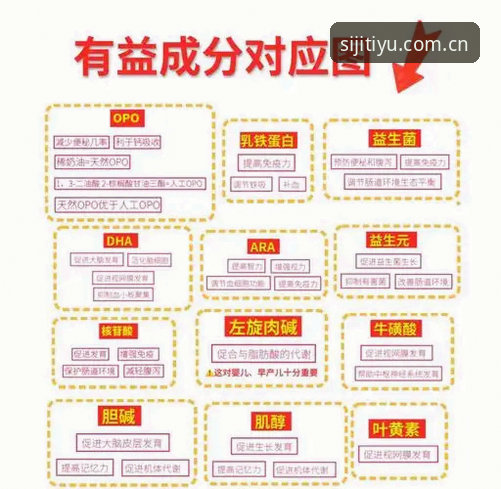 资深用户亲测：四季体育v3.6数据更新包避坑指南，旧版升级前必看的几条实战经验